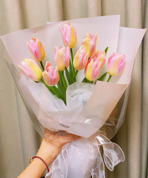 Tulip Dreams
