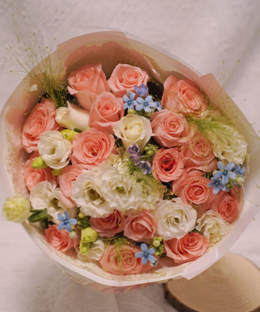 Peach Blossom Dream